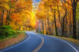 Fall trees next to road in the Smoky Mountains
